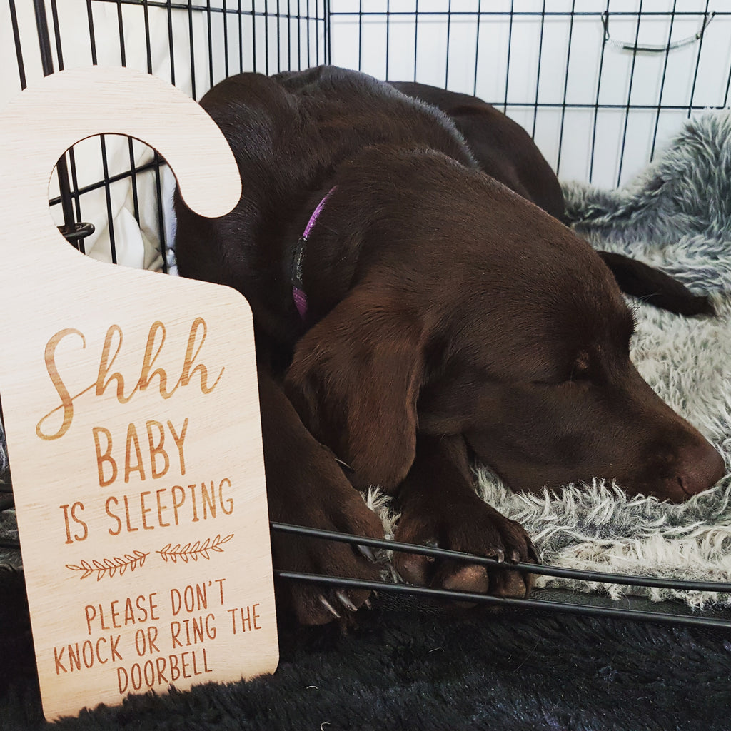Shhh Baby Sleeping Sign